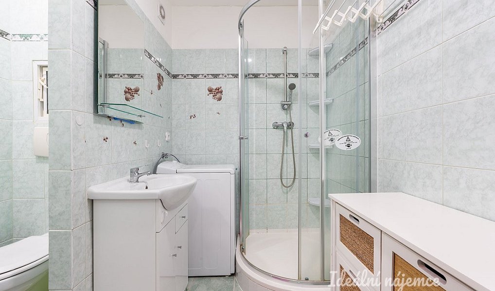 Pronájem bytu 2+kk 42 m², Praha – náhled fotky 8