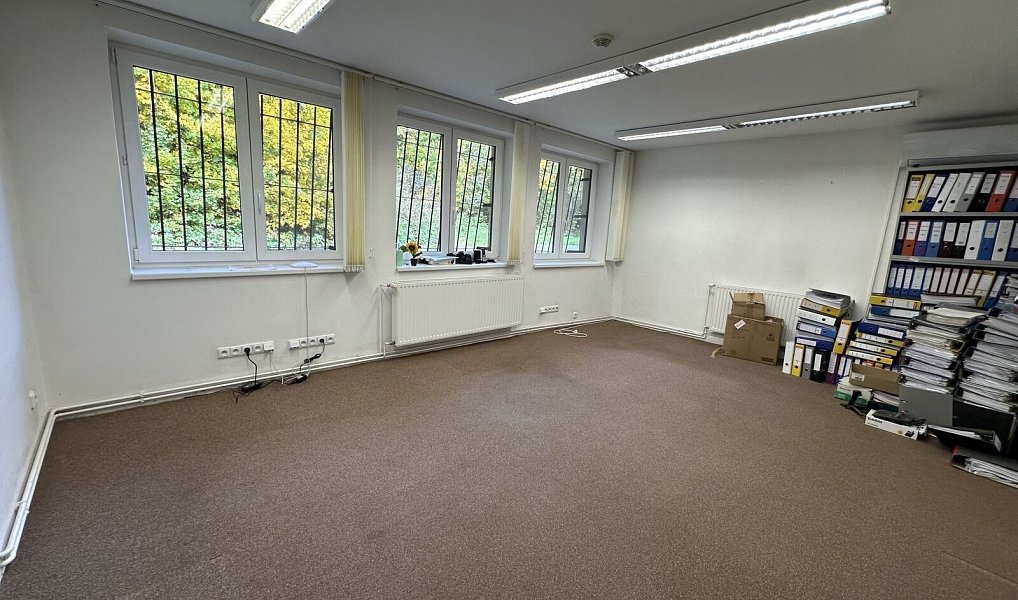 Prodej obchodních prostor 1 076 m², Lutonina – náhled fotky 17