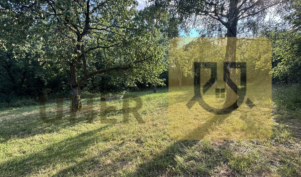 Prodej chaty/chalupy 34 m² s pozemkem 2 975 m², Mšeno – náhled fotky 9