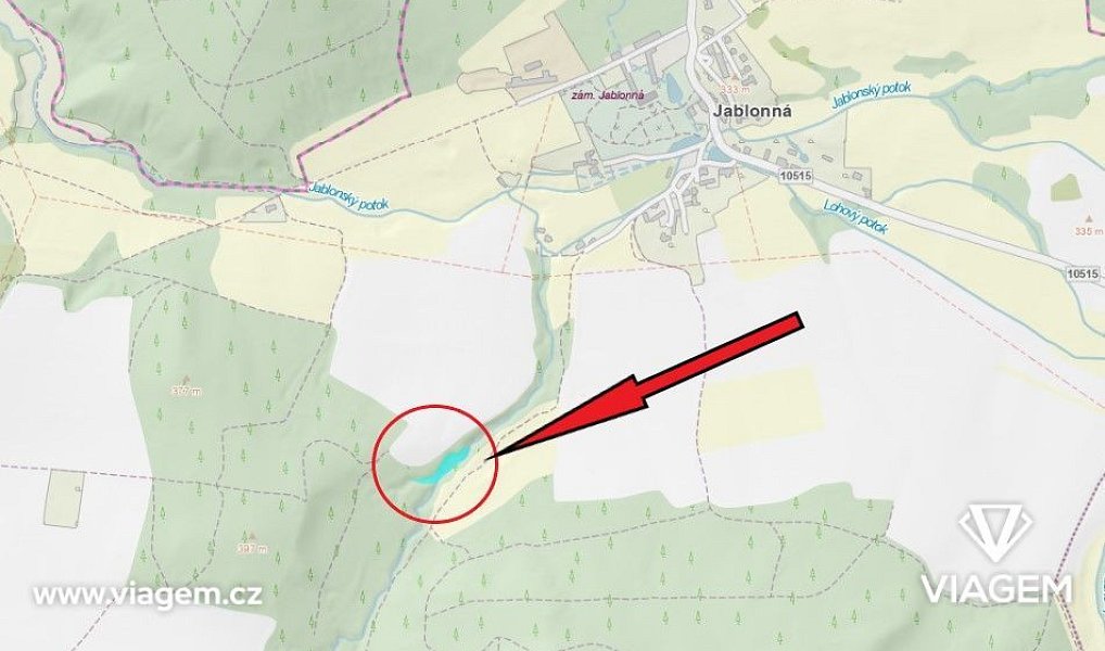 Prodej lesa 1 886 m², Neveklov – náhled fotky 4