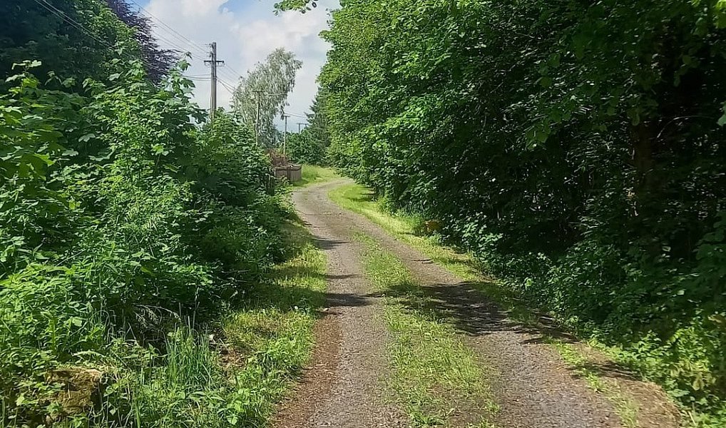 Prodej stavebního pozemku 1 800 m², Staré Křečany – náhled fotky 7