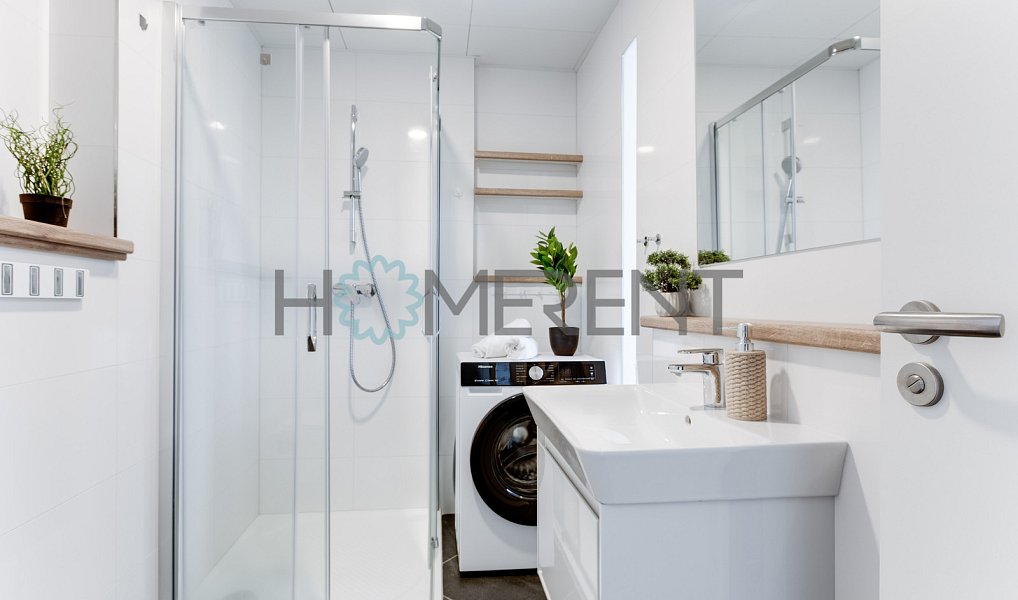 Pronájem bytu 1+kk 31 m², Praha – náhled fotky 5