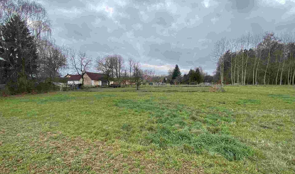 Prodej pozemku 1 427 m², Dolní Bukovsko – náhled fotky 3