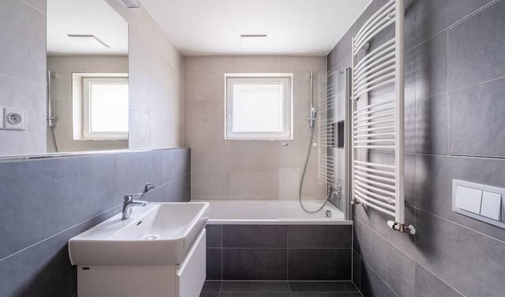 Pronájem bytu 2+1 63 m², Praha – náhled fotky 10