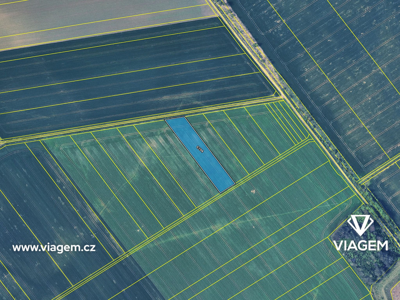 Prodej pole 813 m² – fotografie 4