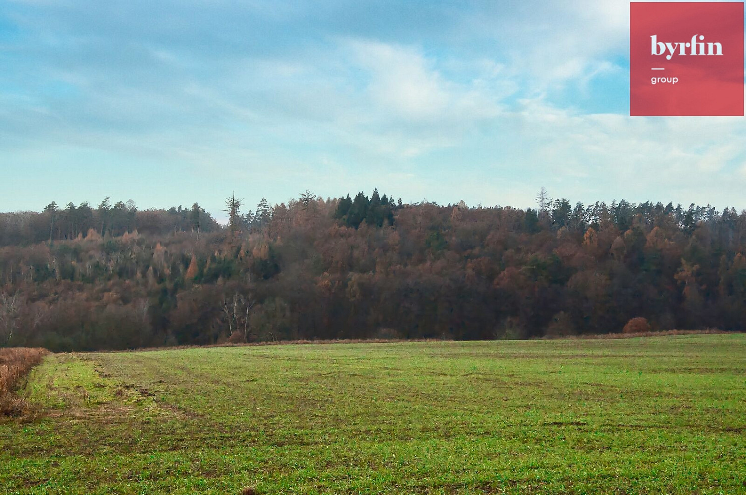 Prodej louky 6 660 m² – fotografie 5
