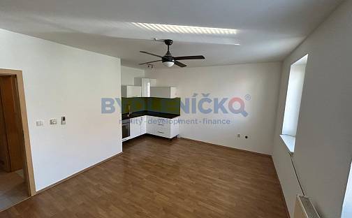 Prodej bytu 1+kk 24 m², Lipenská, České Budějovice - České Budějovice 3