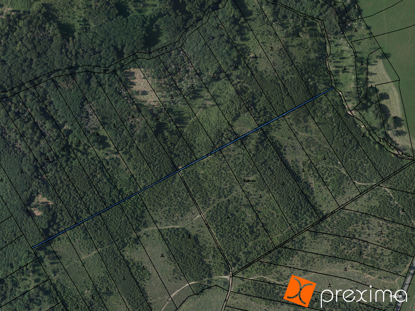 Prodej lesa 15 m²