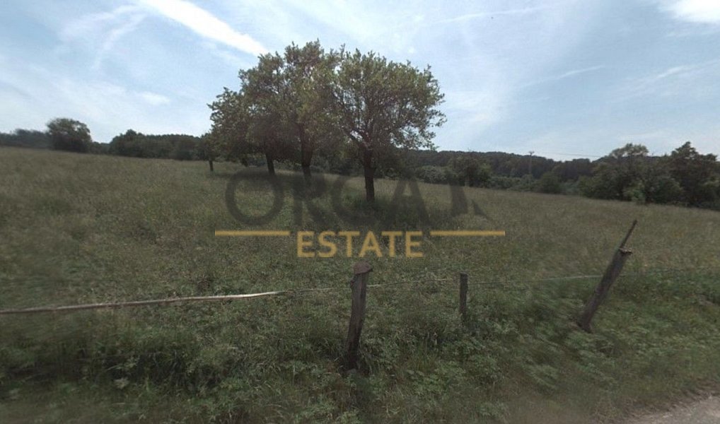 Prodej louky 839 m², Březnice – náhled fotky 5