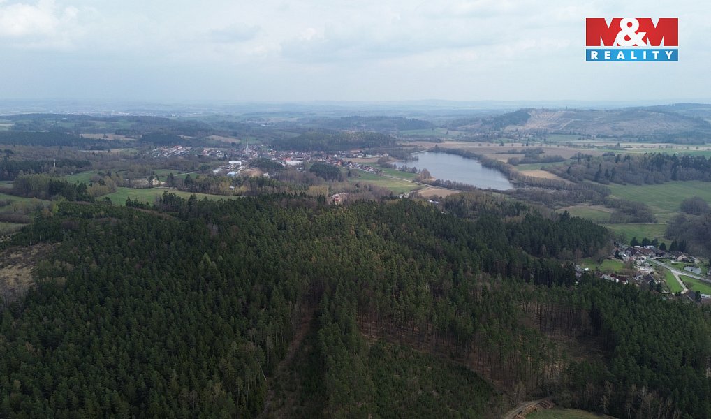 Prodej lesa 7 873 m², Mrákotín – náhled fotky 10