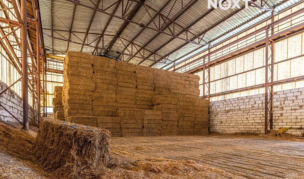 Prodej stavebního pozemku 42 888 m², Podmokly – náhled fotky 12