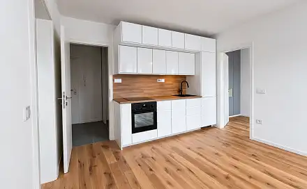 Pronájem bytu 3+kk 52 m², Andrštova, Praha 8 - Libeň