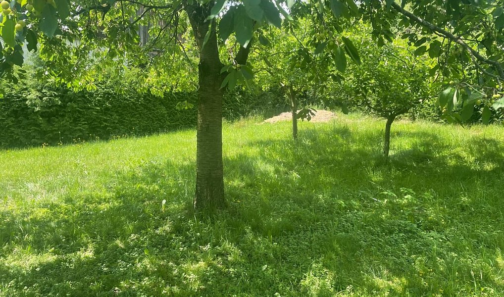 Prodej domu 198 m² s pozemkem 788 m², Loučim – náhled fotky 19
