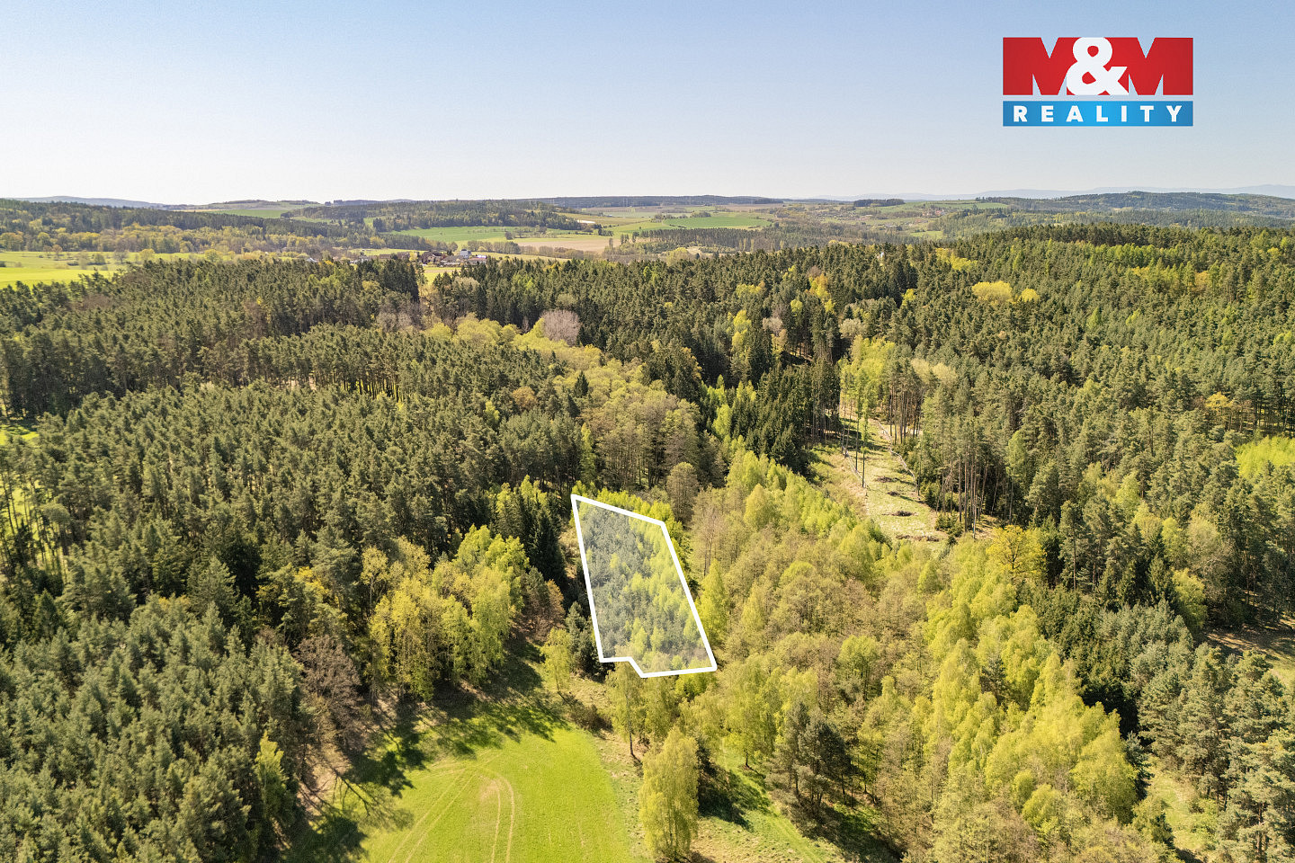 Prodej lesa 2 645 m² — photo 4