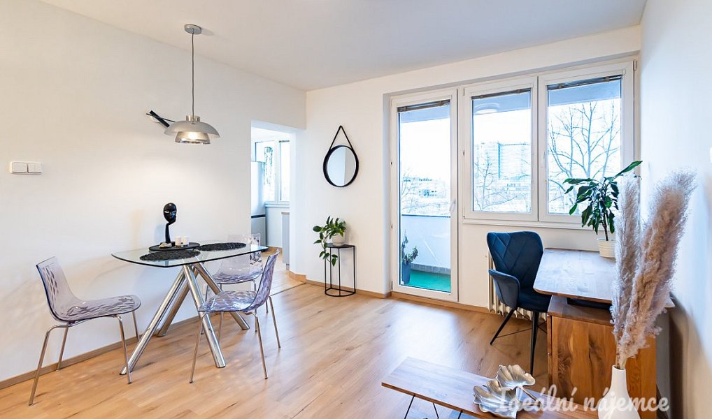 Pronájem bytu 2+1 49 m², Praha – náhled fotky 8