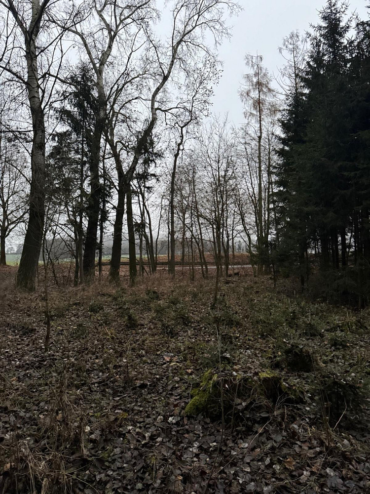 Fotka 12 z 18