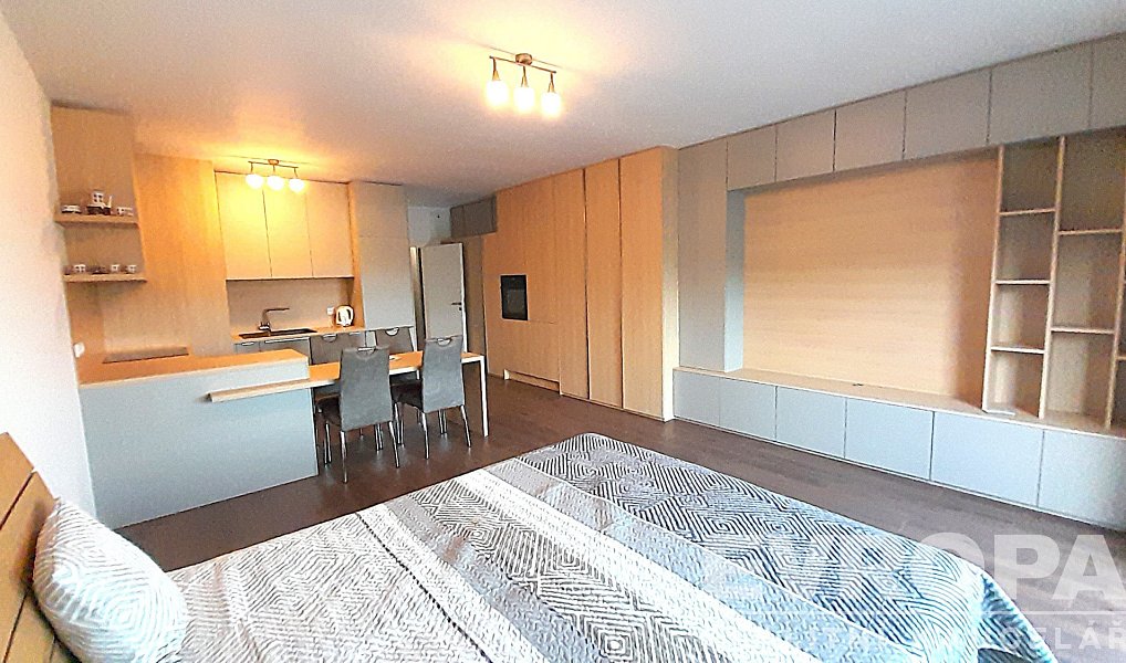 Pronájem bytu 1+kk 49 m², Praha – náhled fotky 8