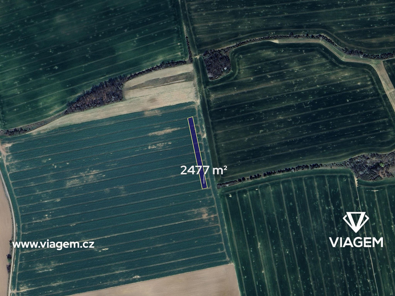 Prodej pole 755 m² – fotografie 2