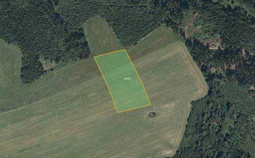 Prodej pole 17 028 m², Maletín - Starý Maletín, okres Šumperk