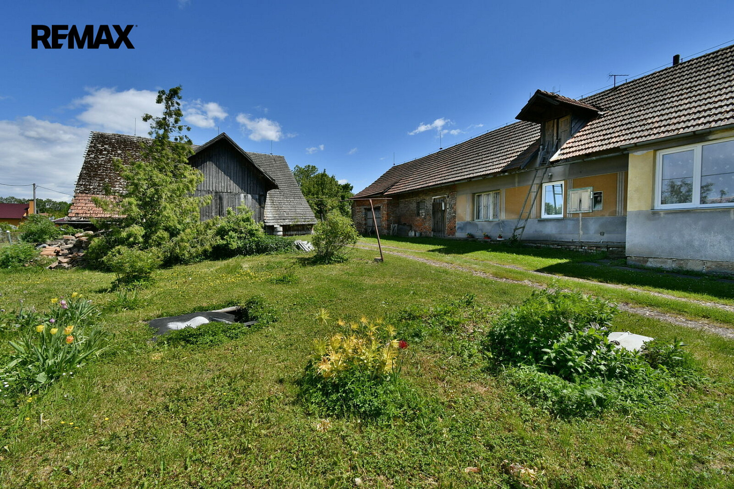 Fotka 12 z 18