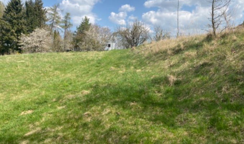 Prodej stavebního pozemku 7 630 m², Sázava – náhled fotky 9