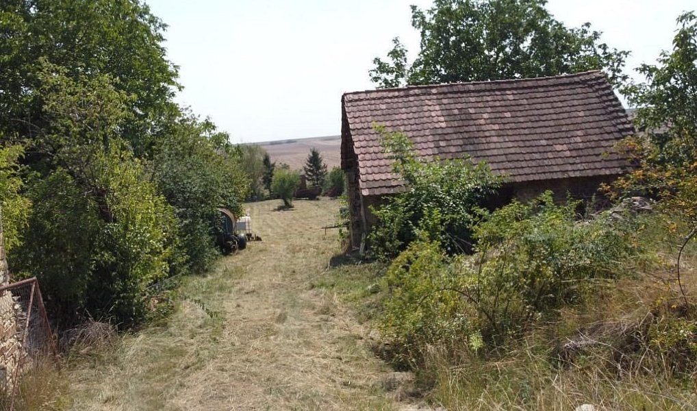 Prodej stavebního pozemku 1 920 m², Mšené-lázně – náhled fotky 7