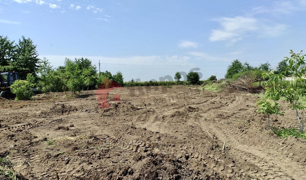 Prodej zahrady 4 174 m², Charváty – náhled fotky 8
