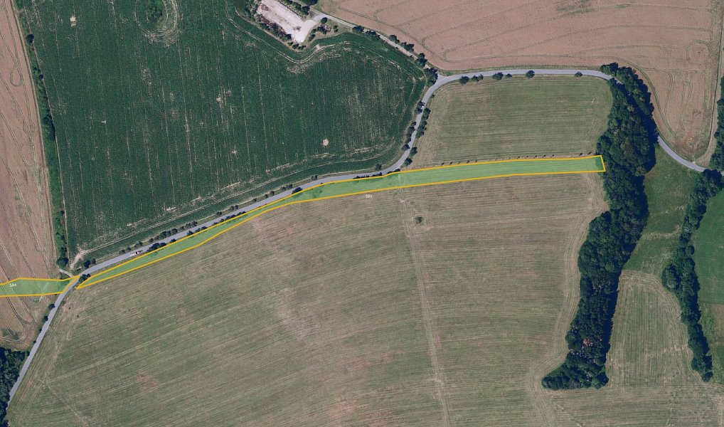 Prodej louky 5 877 m², Proseč – náhled fotky 2