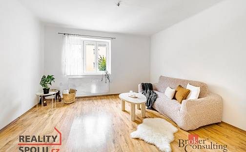 Prodej bytu 3+1 67 m², Erbenova, Písek - Budějovické Předměstí