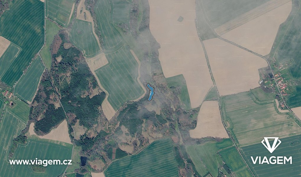 Prodej lesa 592 m², Vilémov – náhled fotky 3
