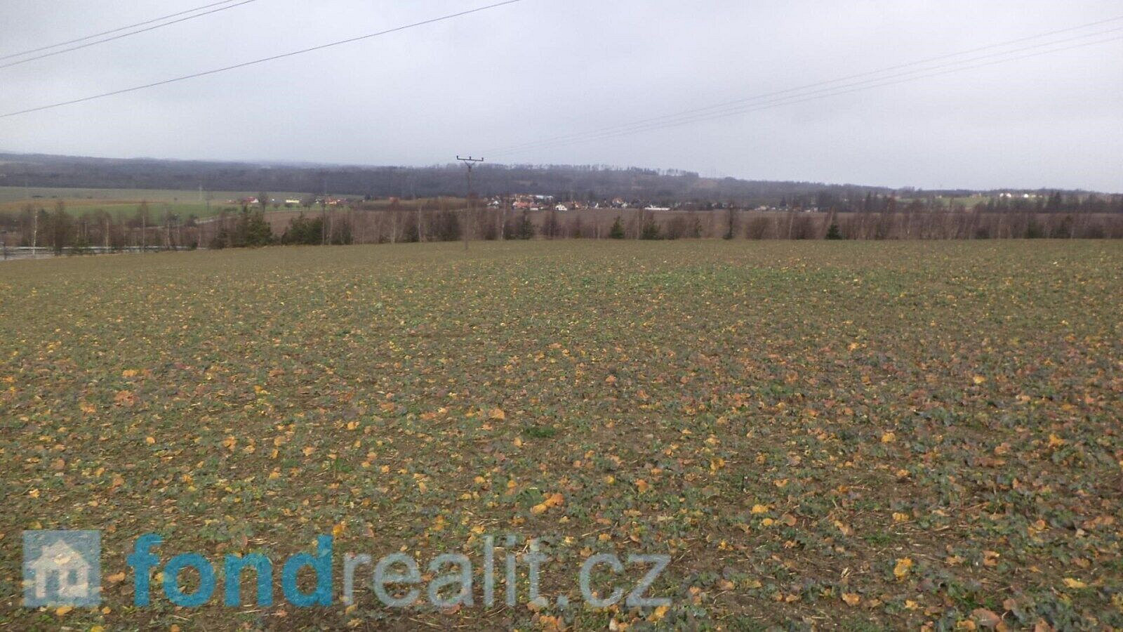 Prodej pozemku 4 742 m² – fotografie 3
