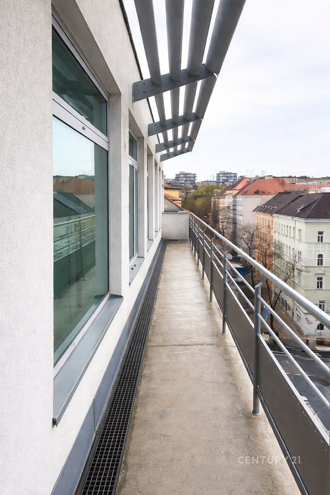 Pronájem kanceláře 175 m² – fotografie 4