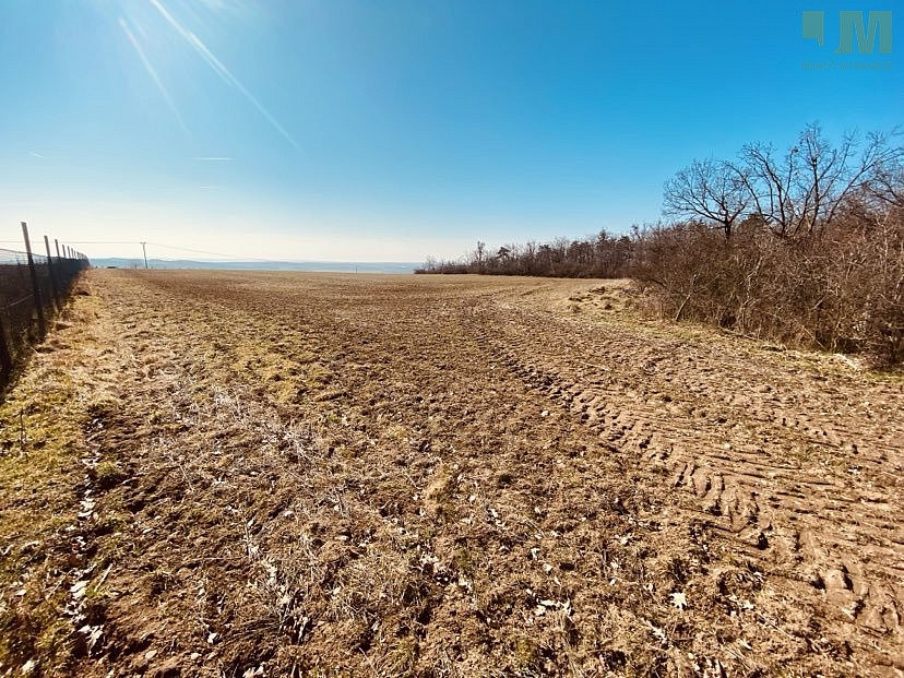 Prodej zahrady 7 000 m² – fotografie 4