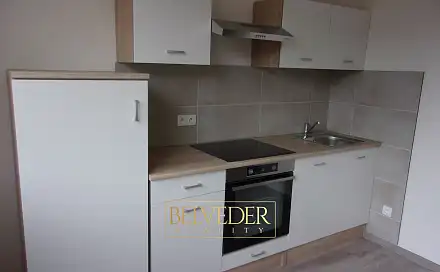 Pronájem bytu 2+kk 38 m², Peškova, Ústí nad Labem - Mojžíř