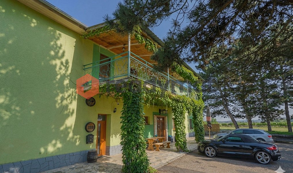 Prodej ubytovacího objektu 660 m², Čejč – náhled fotky 11