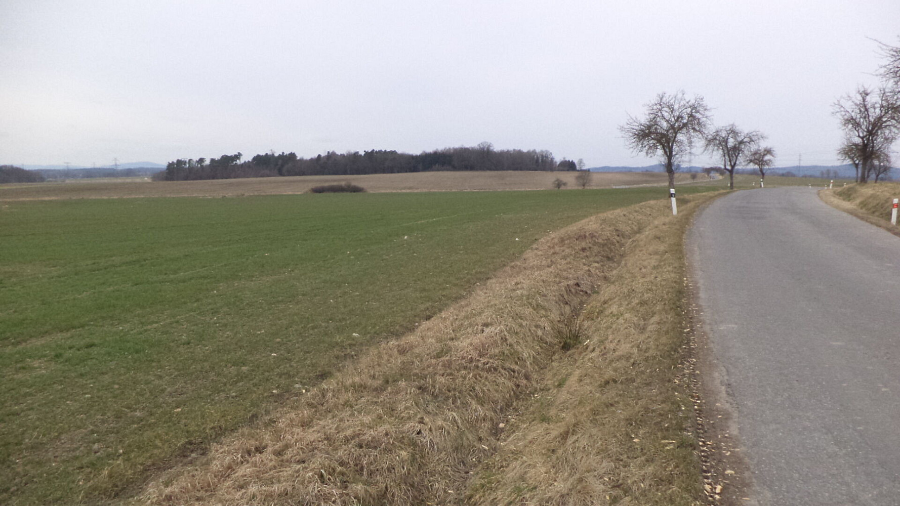 Prodej pole 2 330 m² – fotografie 2