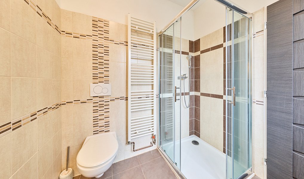 Prodej domu 141 m² s pozemkem 826 m², Mladé Buky – náhled fotky 9