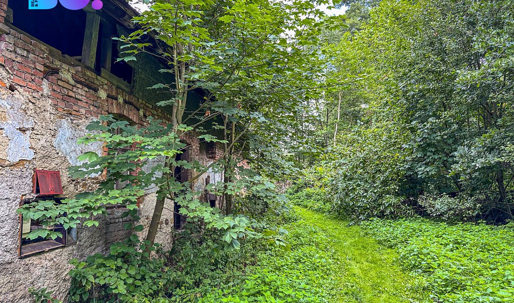 Prodej stavebního pozemku 3 959 m², Skuhrov – náhled fotky 8