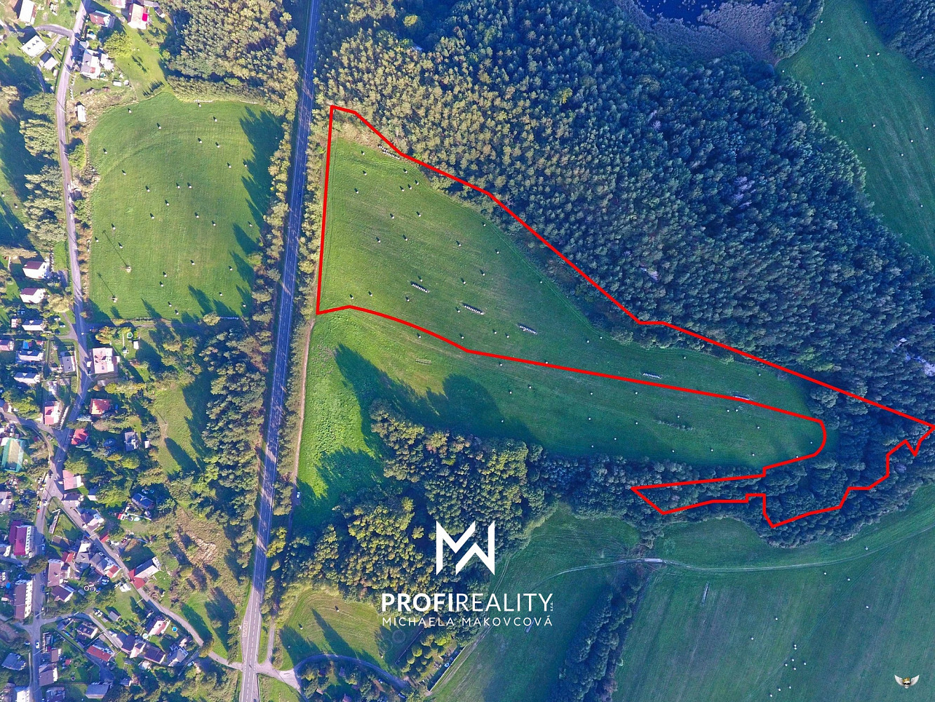 Prodej louky 59 646 m²