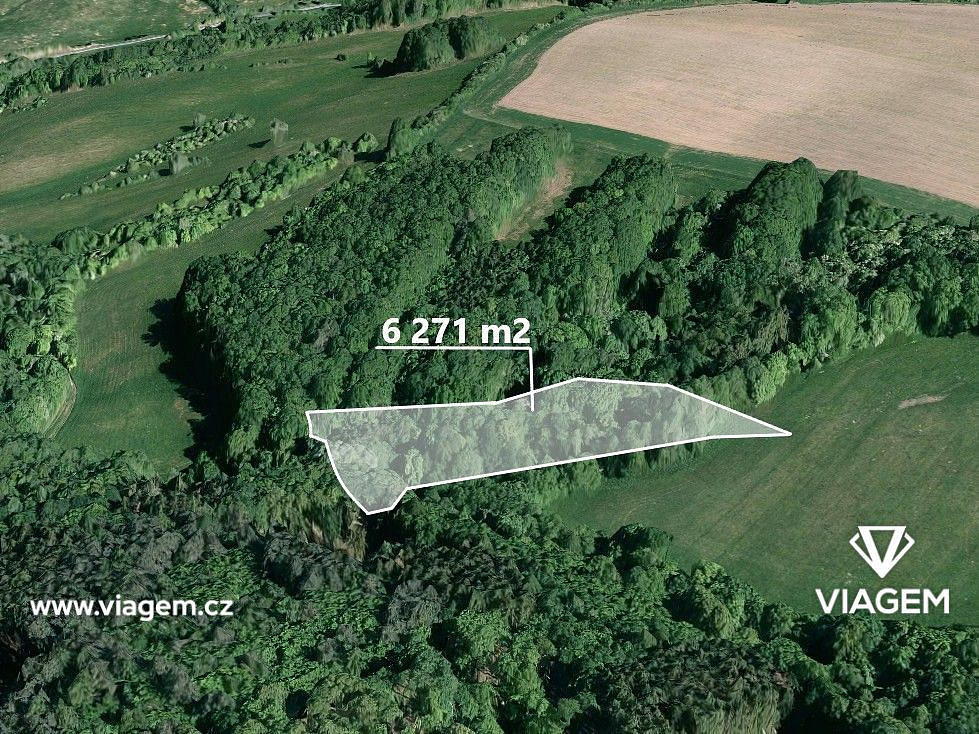 Prodej lesa 1 567 m²