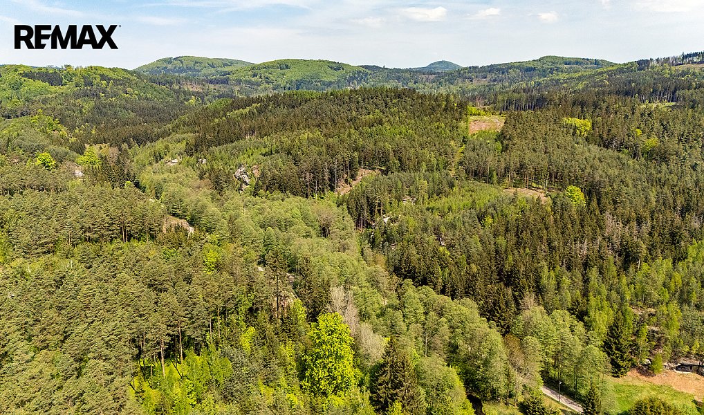 Prodej louky 5 335 m², Cvikov – náhled fotky 19
