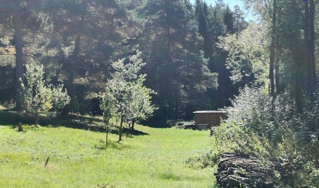 Prodej stavebního pozemku 2 607 m², Vyšší Brod – náhled fotky 3