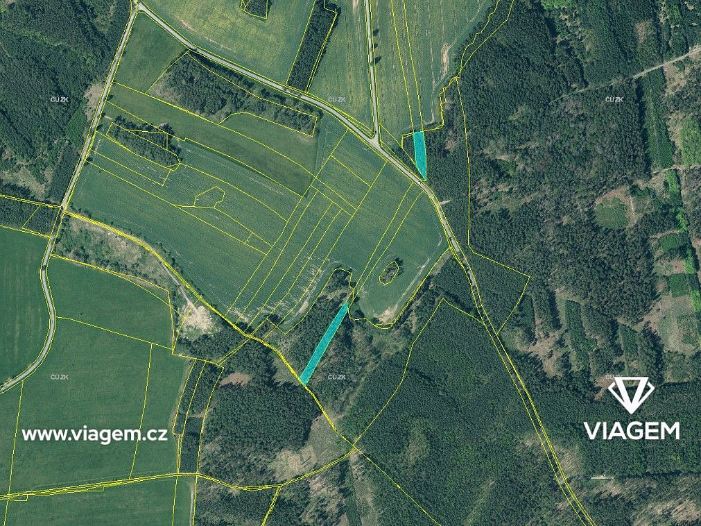 Prodej lesa 2 059 m² – fotografie 5