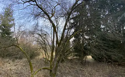 Prodej pozemku 384 m², Městečko Trnávka - Lázy, okres Svitavy