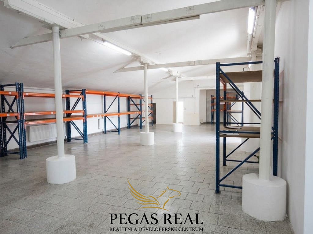 Pronájem skladovacích prostor 483 m² – fotografie 4