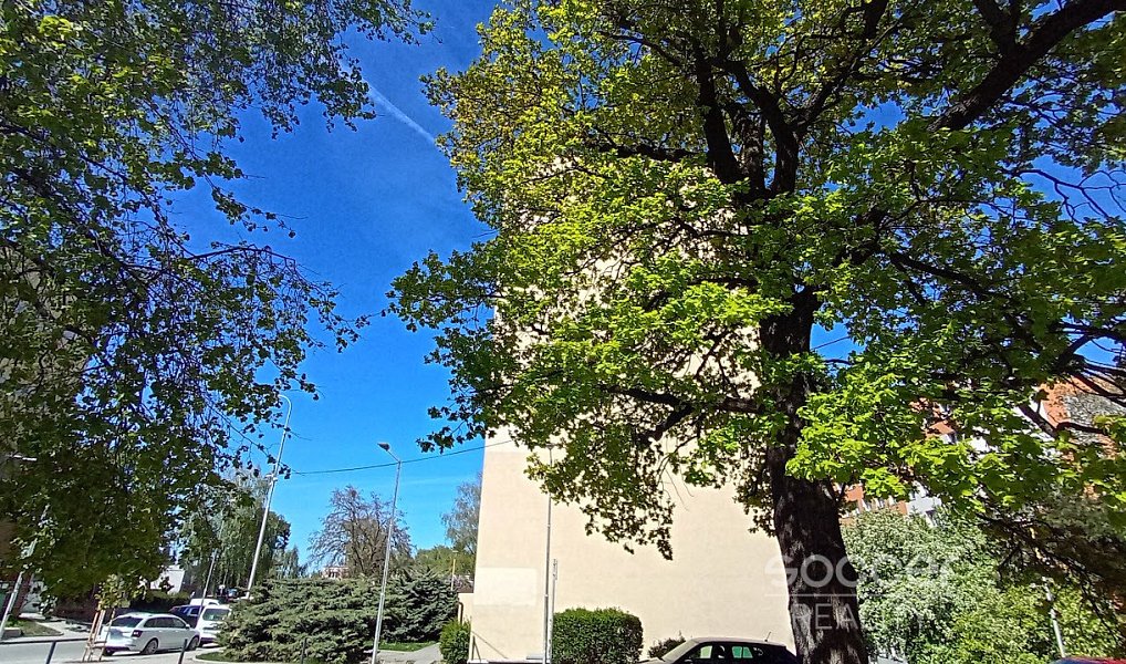 Prodej bytu 2+kk 43 m², Odolena Voda – náhled fotky 7