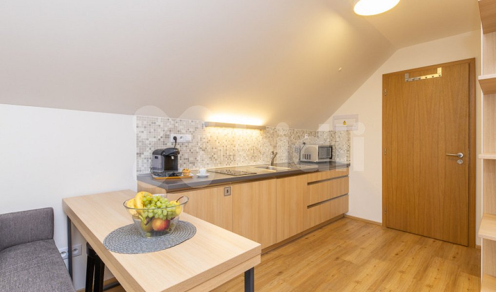Prodej ubytovacího objektu 370 m², Malá Morávka – náhled fotky 18