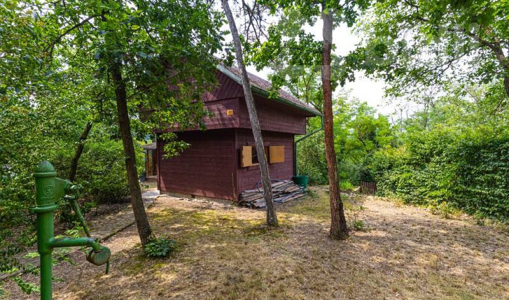 Prodej chaty/chalupy 43 m² s pozemkem 70 m², Davle – náhled fotky 18