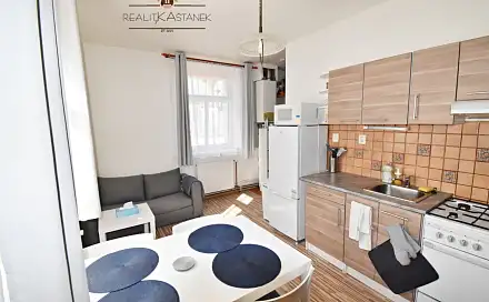 Pronájem bytu 1+1 35 m²