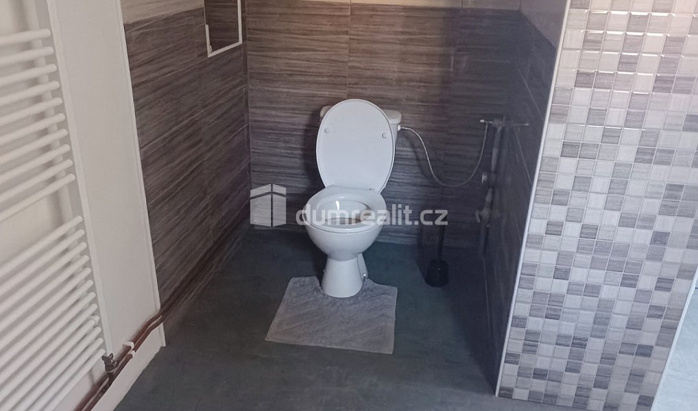 Pronájem bytu 2+kk 93 m², Děčín – náhled fotky 9